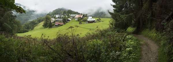 les actualités sur les mesures de soutien aux entreprises du secteur immobilier pendant la pandémie